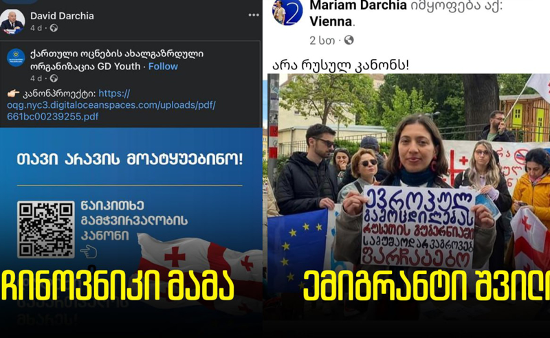 "ოცნების" ჩინოვნიკის შვილი "ოცნებას": "ფარჩაკებო"