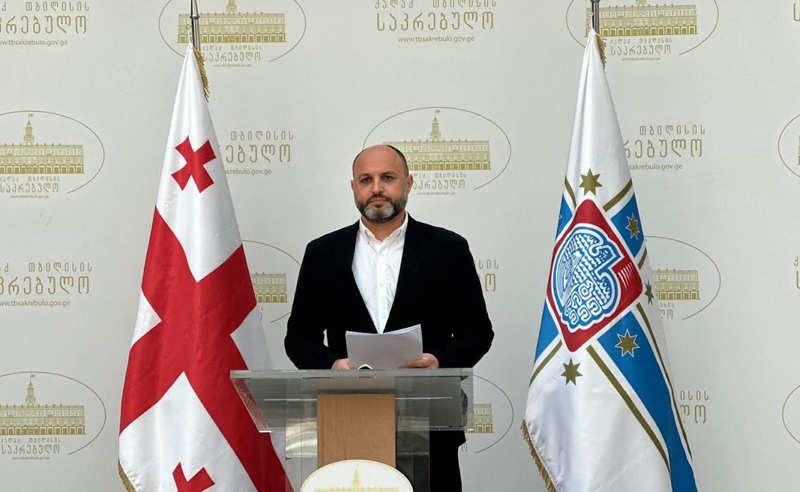 "ოცნება", ელისაშვილზე თავდამსხმელებს არ დასჯის, პირიქით, ხელს დააფარებს და წაახალისებს - ნადირაძე