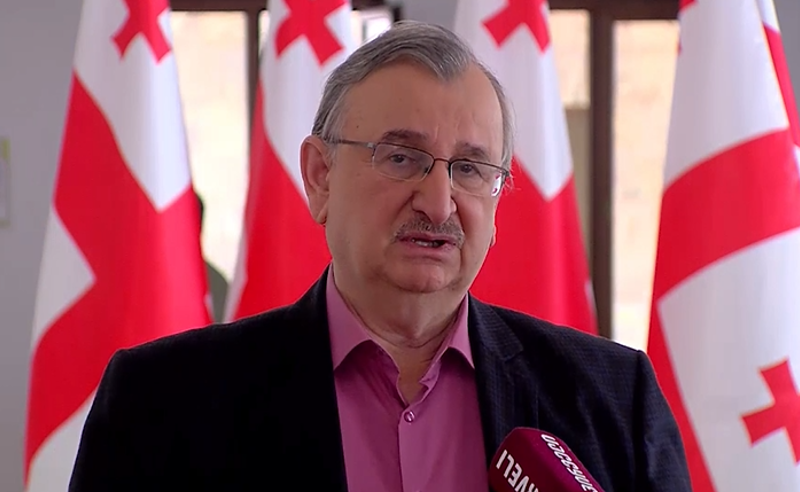 ივანიშვილი შეშინებულია, ეტყობა, ოფშორებშიც მიაგნეს - რომან გოცირიძე