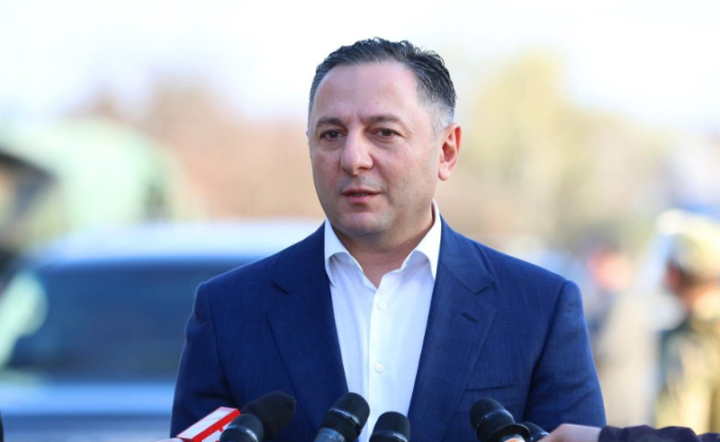 გომელაურს უჭირს იმის აღიარება, რომ პოლიციელებმა ელისაშვილზე ფიზიკურად იძალადეს