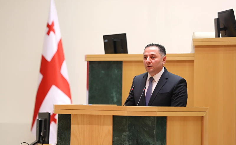 სადამსჯელო ოპერაციიდან პარლამენტის ტრიბუნასთან - შს მინისტრი აქციის მონაწილეებს დაუპირისპირდა