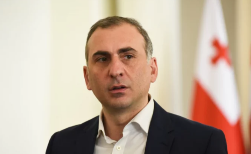 აქ იქნება არა გამოძიება, არამედ ჩაფარცხვა - ელისაშვილი