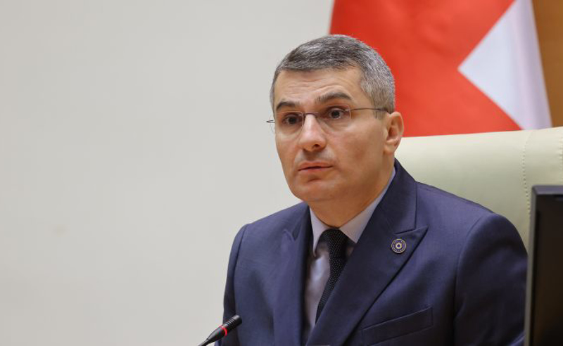 საკამათო გახდა, მარტოხელა ქალს უნდა ჰყავდეს თუ არა შვილი - მდინარაძე ინ ვიტროზე