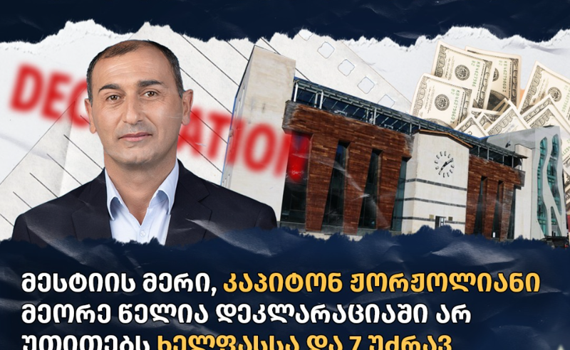 მესტიის მერი დეკლარაციაში საკუთარ ქონებასა და შრომის ანაზღაურებიდან მიღებულ შემოსავალს მალავს - TI