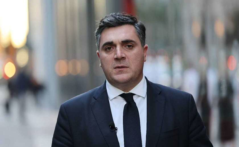 ადამიანები, რომლებიც არიან შემოქმედნი მსგავსი ტიპის რეზოლუციების, შეგნებულად თუ შეუგნებლად ემსახურებიან ჩვენი ქვეყნის დაზიანებას - დარჩიაშვილი