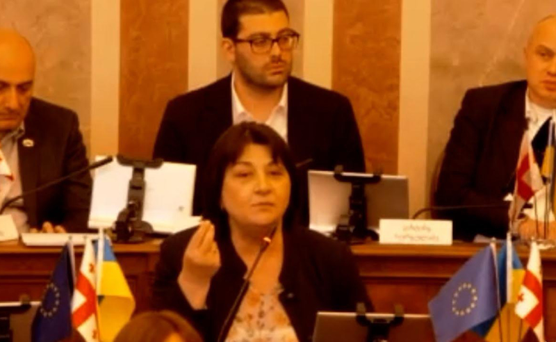 "ჩვენი გზა უნდა მიდიოდეს ევროპაში, მაგრამ რუსეთში მიგვათრევთ" - ლილე ლიპარტელიანი "ოცნებას"
