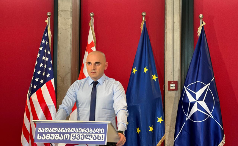 შავით თეთრზე წერია კონკრეტული საფრთხეების შესახებ რეზოლუციაში. მესმის ივანიშვილს არ უნდა ეს საფრთხეები გაიგოს, რადგან უნდა პრობლემა ჰქონდეს ჩვენს ქვეყანას - ხაბეიშვილი