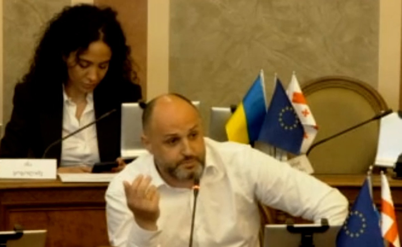 ორშაბათს ვნახავ ძალიან ბევრ ბაღის, სკოლის პედაგოგს, რომლებიც იქ იძულებით იქნებიან მოყვანილები - ნადირაძე