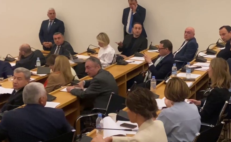 იურიდიულ საკითხთა კომიტეტმა რუსული კანონის მეორე მოსმენით განხილვა დაიწყო - სხდომა ხმაურის ფონზე მიმდინარეობს