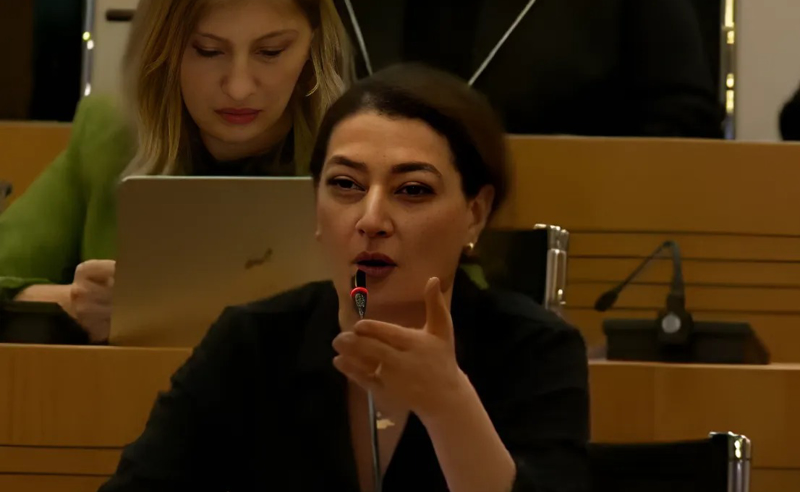 შევიტანოთ შესწორება და ჩავწეროთ რუსეთი, როგორც ქვეყანა, რომლის წინააღმდეგაც კანონს ვიღებთ - ჩარკვიანი ოხანაშვილს