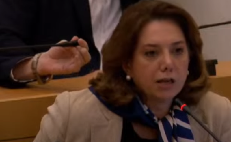 ანრი, გეშინია? - სამადაშვილი ოხანაშვილმა დარბაზიდან გააძევა