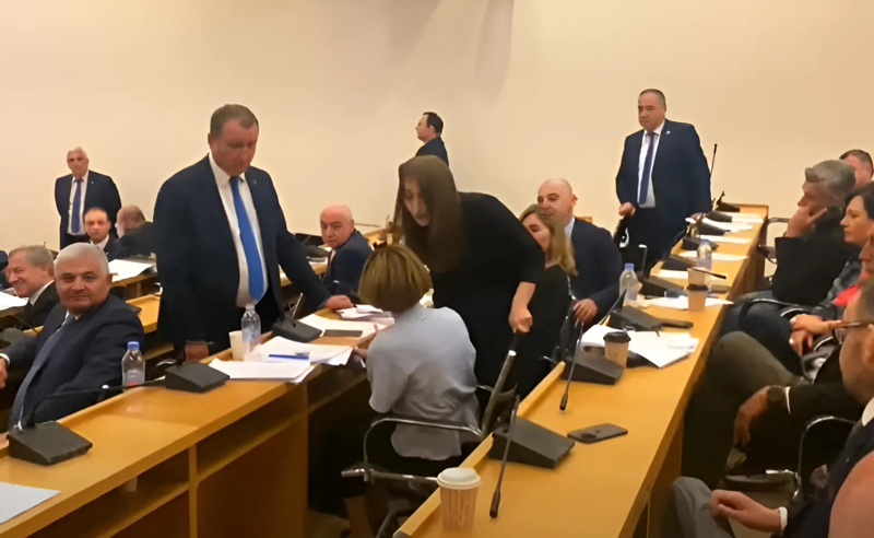 იურიდიული კომიტეტის სხდომიდან ამჯერად ანი წითლიძე გამოაძევეს