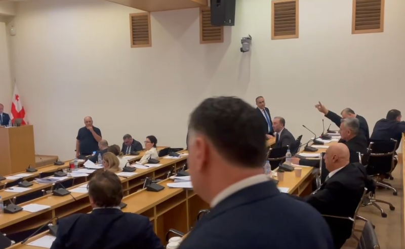 დეკანოიძე, გოდაბრელიძე და ხაჯიშვილი - კომიტეტი კიდევ სამ ოპოზიციონერს დაატოვებინეს