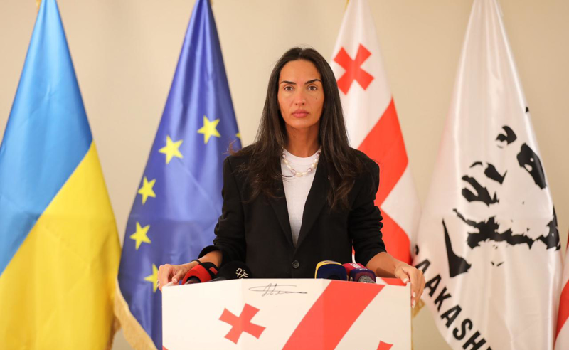 დღეს დავინახავთ ძალით, მუქარით, შანტაჟით ჩამოყვანილ ხალხს - საზოგადოებას აპირისპირებენ ერთმანეთთან, მშობლებს უპირისპირებენ შვილებს - ჯაფარიძე
