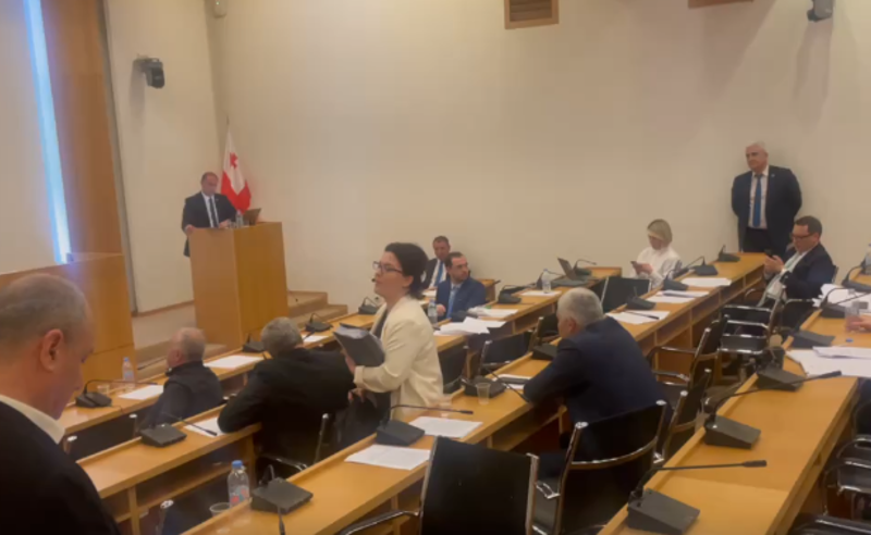 ანა ნაცვლიშვილმა სხდომა პროტესტის ნიშნად დატოვა