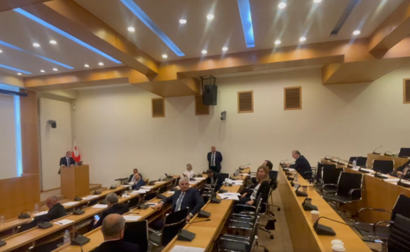 ოხანაშვილმა არასამთავრობო ორგანიზაციის კიდევ ერთი წარმომადგენელი გააძევა