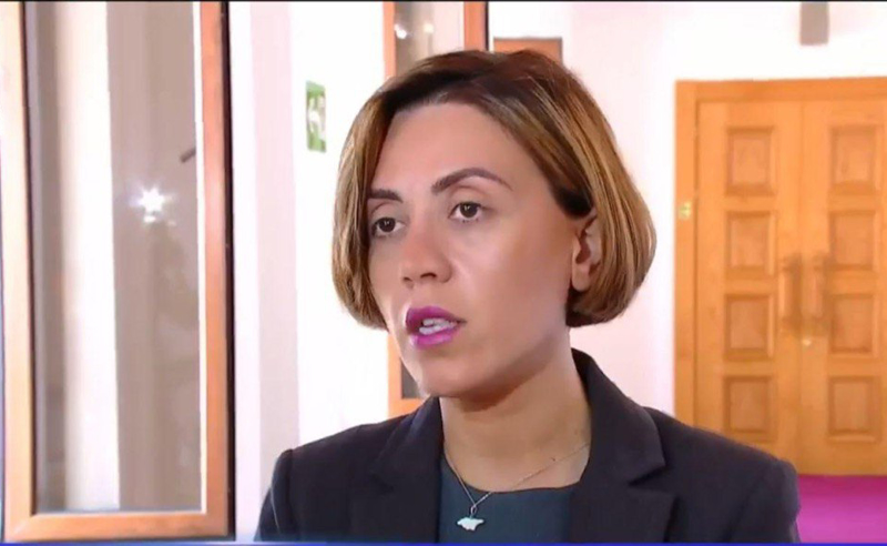 რუსმა ოლიგარქმა ღიად თქვა, რომ მისი მიზანი საქართველოს ევროპული მომავალი არასდროს ყოფილა - წითლიძე