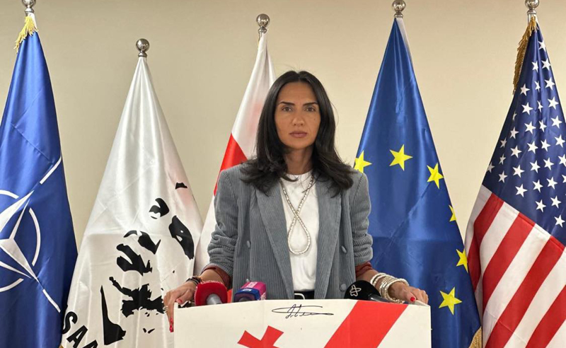 გუშინდელმა დღემ ცხადყო, რომ "ქართული ოცნება" დამარცხებულია - სოფო ჯაფარიძე