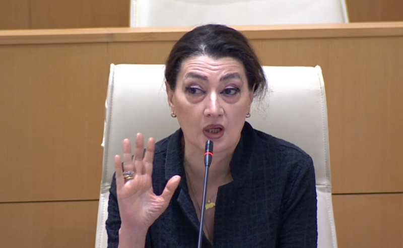 "მიტინგის ჩატარების საშუალებას არ მოგცემთ" - თაკო ჩარკვიანი სდომათა დარბაზიდან გამოაძევეს