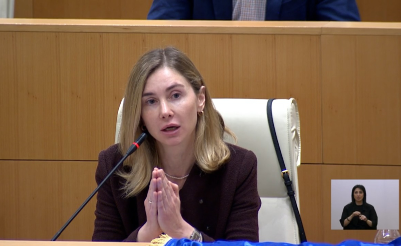 გთხოვთ, მოგიწოდებთ, გააჩერეთ ამ კანონპროექტის განხილვა დროებით მაინც! - ბოკუჩავა