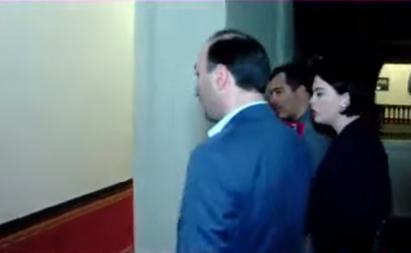 "მონა ხართ თქვენ" - "ოცნების" დეპუტატები პარლამენტს ტოვებენ