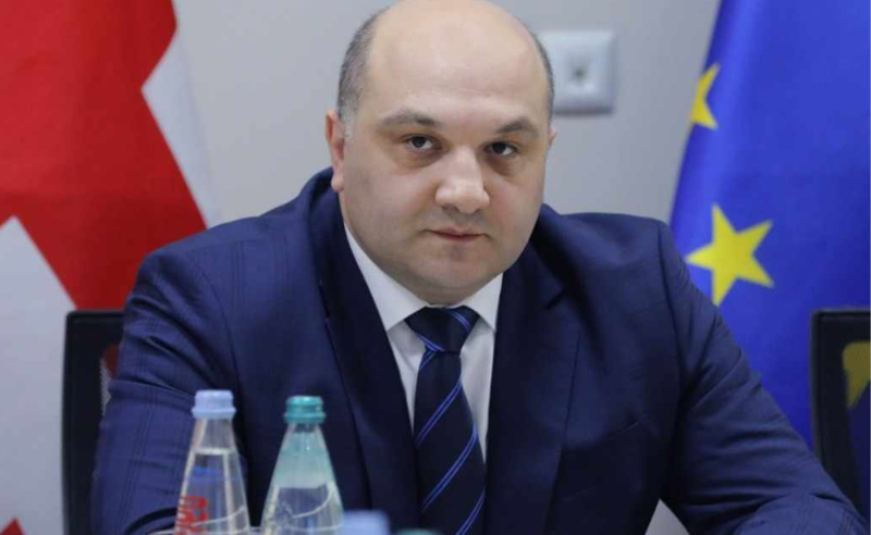 "თუკი გამოიკვეთება დანაშაულის ნიშნები, დავიწყებთ გამოძიებას და მოვახდენთ რეაგირებას" - შს მინისტრის მოადგილემ 