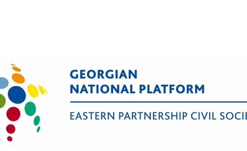 აღნიშნული კანონპროექტი აღრმავებს პოლარიზაციას და მიმართულია ევროკავშირში გაწევრიანების პროცესის წინააღმდეგ - ეროვნული პლატფორმა