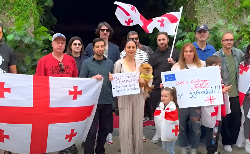 "ნუ იყენებთ ძალას ჩვენი შვილების წინააღმდეგ" - რუსული კანონი ქართველმა ემიგრანტებმა ლოს ანჟელესშიც გააპროტესტეს