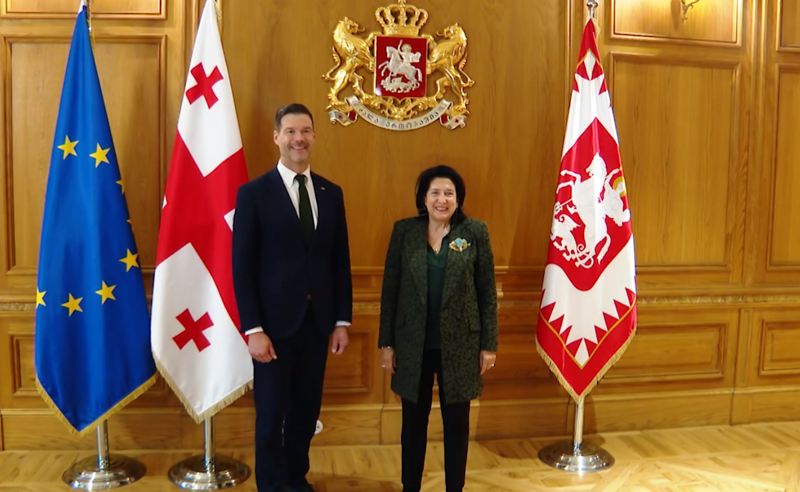 რუსული კანონი, საქართველოს ევროპული მომავალი და ქვეყანაში მიმდინარე მოვლენები - პრეზიდენტი იოჰან ფორსელს შეხვდა