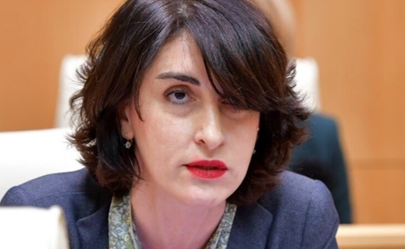 თუ მეტად გაააგრესიულებთ ხალს, თქვენც შეიძლება, შეგეშინდეთ - "ოცნების" დეპუტატი ჟურნალისტებს