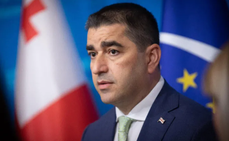 ევროპარლამენტარებს და მათ წინამორბედებს თუ დავუჯერებთ, ევროპული მომავლის საბოტაჟში ვცხოვრობთ 12 წელია - პაპუაშვილი
