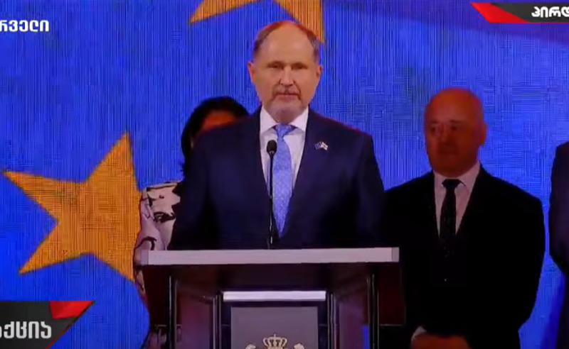 ზღვა შესაძლოა ხანდახან ღელავს, მაგრამ საქართველო, შენი გემი ევროპისკენ დაძრულია! - ჰერჩინსკის მიმართვა ქართულ ენაზე