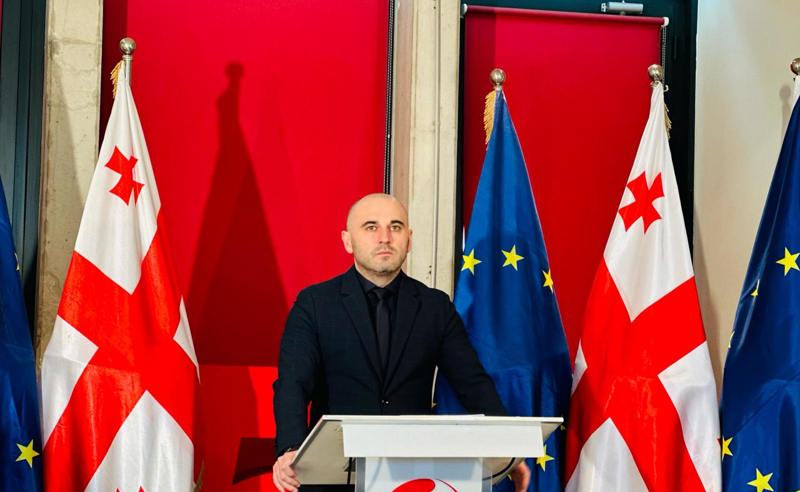 ივანიშვილის გამოსვლის მეორე დღესვე დაიწყო ეს კამპანია. ცხადია, ამ ყველაფრის ორგანიზატორები არიან ხელისუფლებაში და კონკრეტული დავალების მიმცემებიც - ხაბეიშვილი