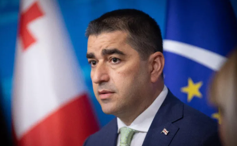 პაპუაშვილი თავდასხმებზე: ძალადობა იწვევს ძალადობას