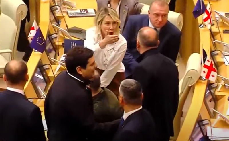 "ალქაჯი!" - ნინო წილოსანმა სხდომათა დარბაზიდან თინა ბოკუჩავას გაძევება მოითხოვა