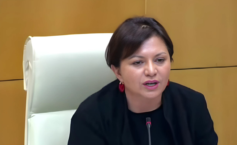 ხერხეულიძე ოცნებას: ივანიშვილი, როცა დალომბარდებულ საქართველოს გამოიხსნის 2 მილიარდიდან,  წავა რუსეთში, მაგრამ იმ თვითმფრინავში თქვენ არ აგიყვანთ, აიყვანს ზებრებს