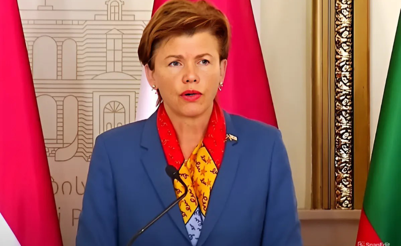ევროკავშირში გაწევრიანება საჭიროებს პრაგმატულ ნაბიჯებს, გვინდა გავიგოთ, ეს კანონი რატომ უნდა შემოღებულიყო ახლა - ბრაჟე