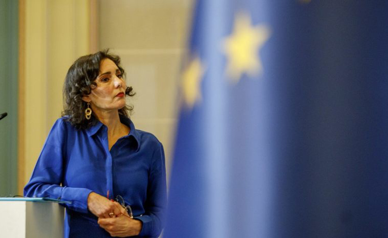 კანონის მიღების გამო ღრმა მწუხარებას გამოვთქვამთ - ბელგიის საგარეო საქმეთა მინისტრი "ოცნებას"