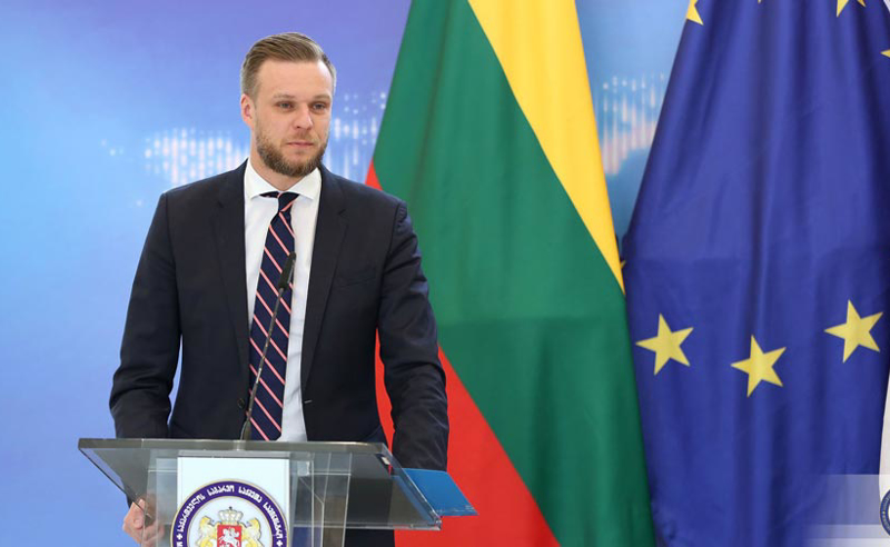 როდესაც ადამიანს აქციაზე სცემენ, ამაზე პასუხი უნდა აგოს მთავრობამ - ლანდსბერგისი