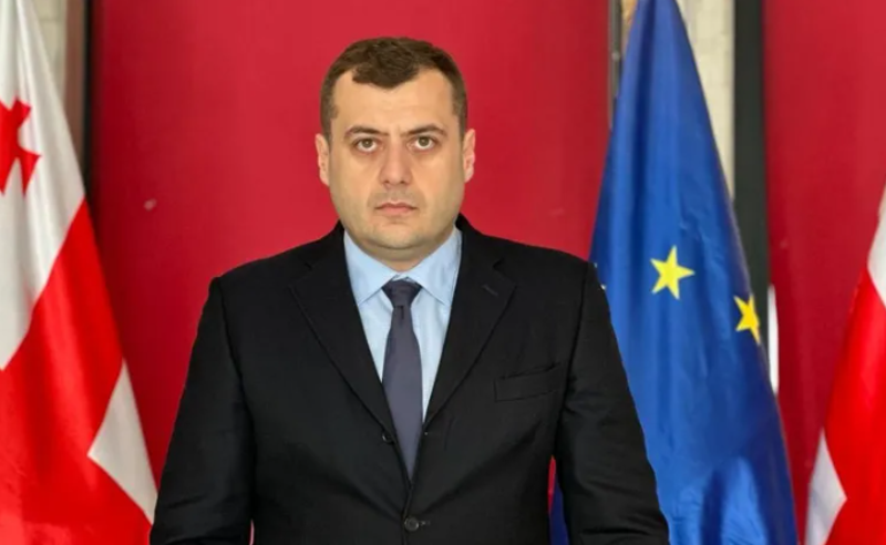 ენმ-ის იმერეთის რეგიონალური საბჭოს თავმჯდომარე - ქართველ ხალხს თავისუფლებისთვის ბრძოლაში არანაირი ორგანიზება არ სჭირდება