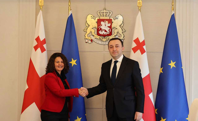 ირაკლი ღარიბაშვილი საფრანგეთის ელჩს შეხვდა - რაზე ისაუბრეს?