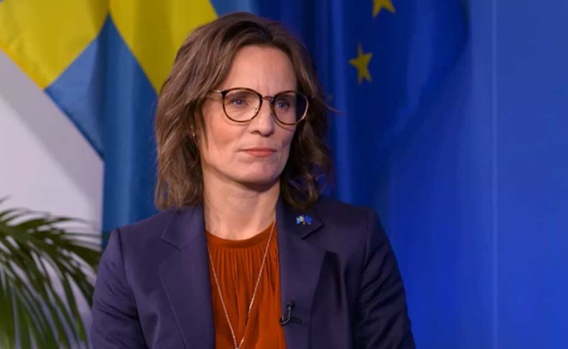 შეწუხებული ვარ საქართველოში არსებული მდგომარეობით - შვედი მაღალჩინოსანი