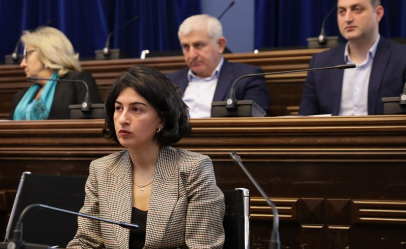 ვენეციის კომისიას "ოცნებიდან" უპასუხა დეპუტატმა, რომელსაც მანამდე ბრიფინგი არასდროს ჰქონია