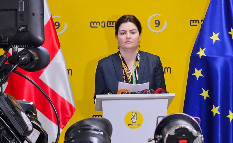 ვენეციის უმწვავესი დასკვნა გამოქვეყნებამდე პირველს "ოცნებას" გადაეგზავნა, რატომ ვერ დაიცვეს თავისი პოზიცია? - ნაცვლიშვილი