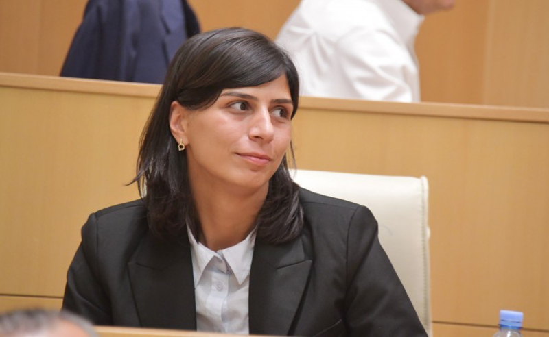"ქართველების სამსახურში ყოფნისათვის მიღებულ სანქციას ჯილდოს ფასი აქვს" - ოცნების დეპუტატი ქეთევან ჩარკვიანი