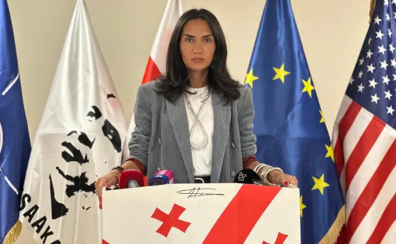 ჯაფარიძე: დღევანდელი სანქციები არის ასიათასობით ადამიანის დამსახურება, რომლებმაც მსოფლიოს დაანახეს ჩვენი უპირობო სვლა ევროპისკენ და „ქართული ოცნების“ რუსული სახე