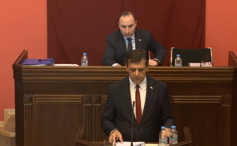 ანრი ოხანაშვილმა ანი წითლიძე კომიტეტიდან გააძევა