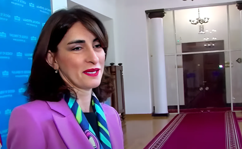 "სათანადად შეშინებულად არ გამოვიყურები" - მაკა ბოჭირიშვილი მოსალოდნელ სანქციებზე