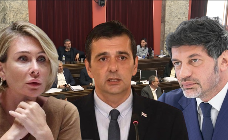 "ამ ადამიანის საცოდაობით დავიწვი" - "ოცნება" გიორგი მსხილაძეზე იერიშს აგრძელებს