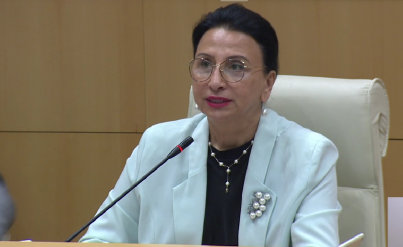 "ქართული ქარტია" ქვეყნის ღალატის ტრაქტატია - რიმა ბერაძე